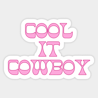 cowgirl aesthetic cool it cowboy Sticker